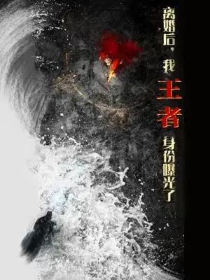 离婚后，我的王者身份曝光：一场身份反转的爱情故事