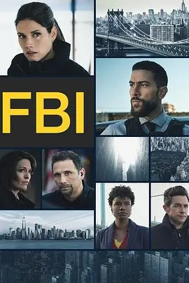 《联邦调查局》第六季：案件升级，悬念迭起，FBI探员再战罪恶！